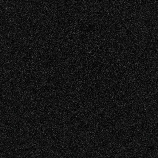 Black 40S Quartz